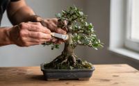 Pasty i uszczelniacze CU dla bonsai - ochrona ran i wspomaganie gojenia