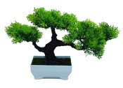 Umělá bonsaj 2
