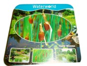 Vodní rostliny - Typha minima (Orobinec nejmenší)