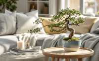 Rodzaje bonsai dla początkujących: Odkryj magię miniaturowych drzewek